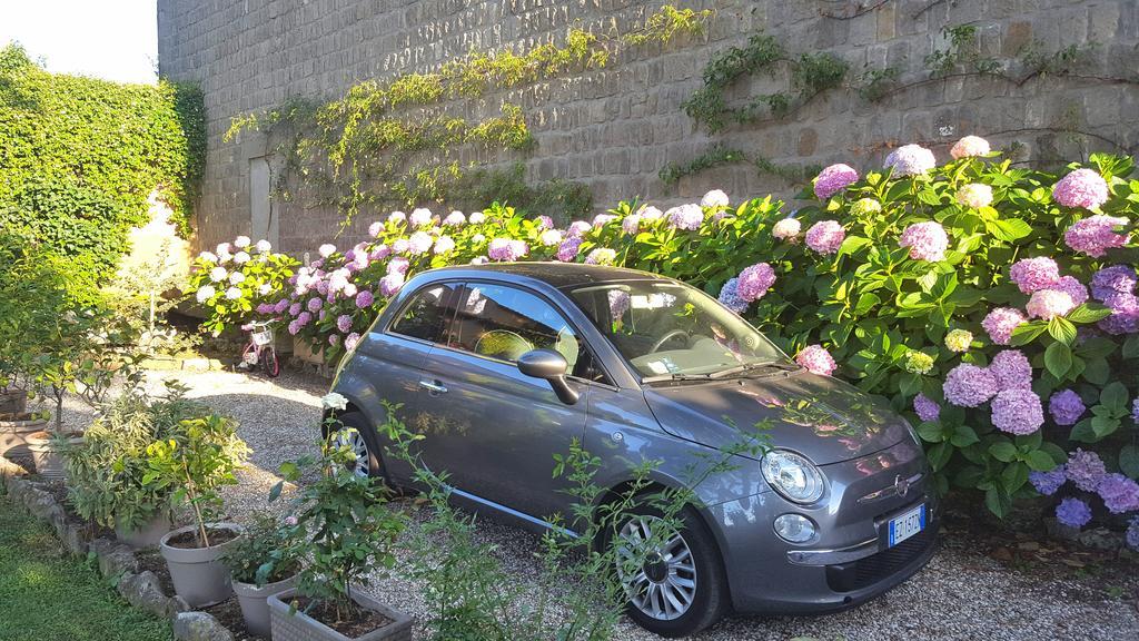 B&B A Piazza Del Gesu Viterbo Zewnętrze zdjęcie